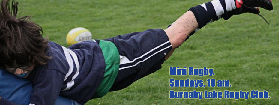 Mini's Banner